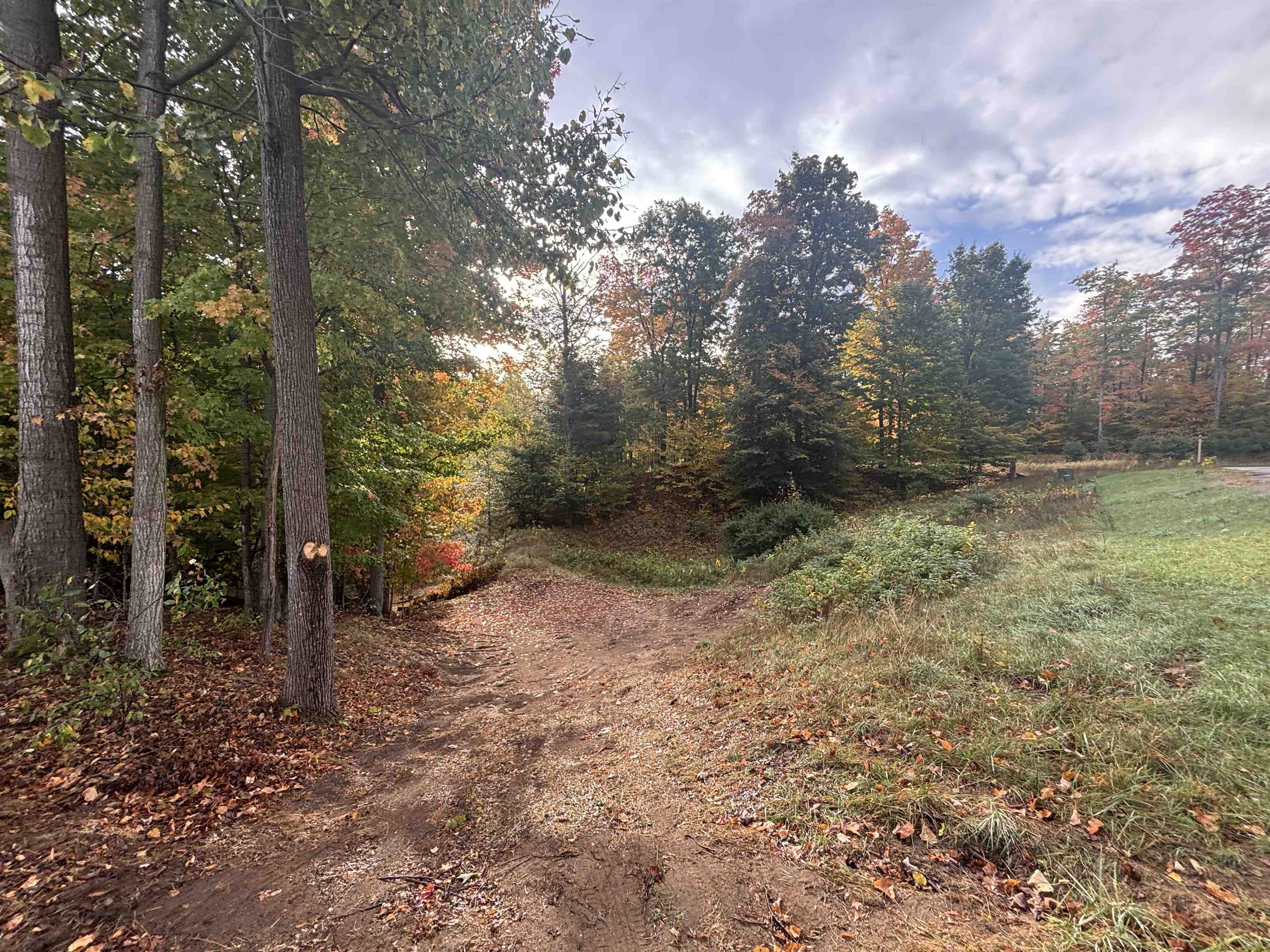 4972 Truax Lake Road Williamsburg, MI 49690 - Photo 22 of 27