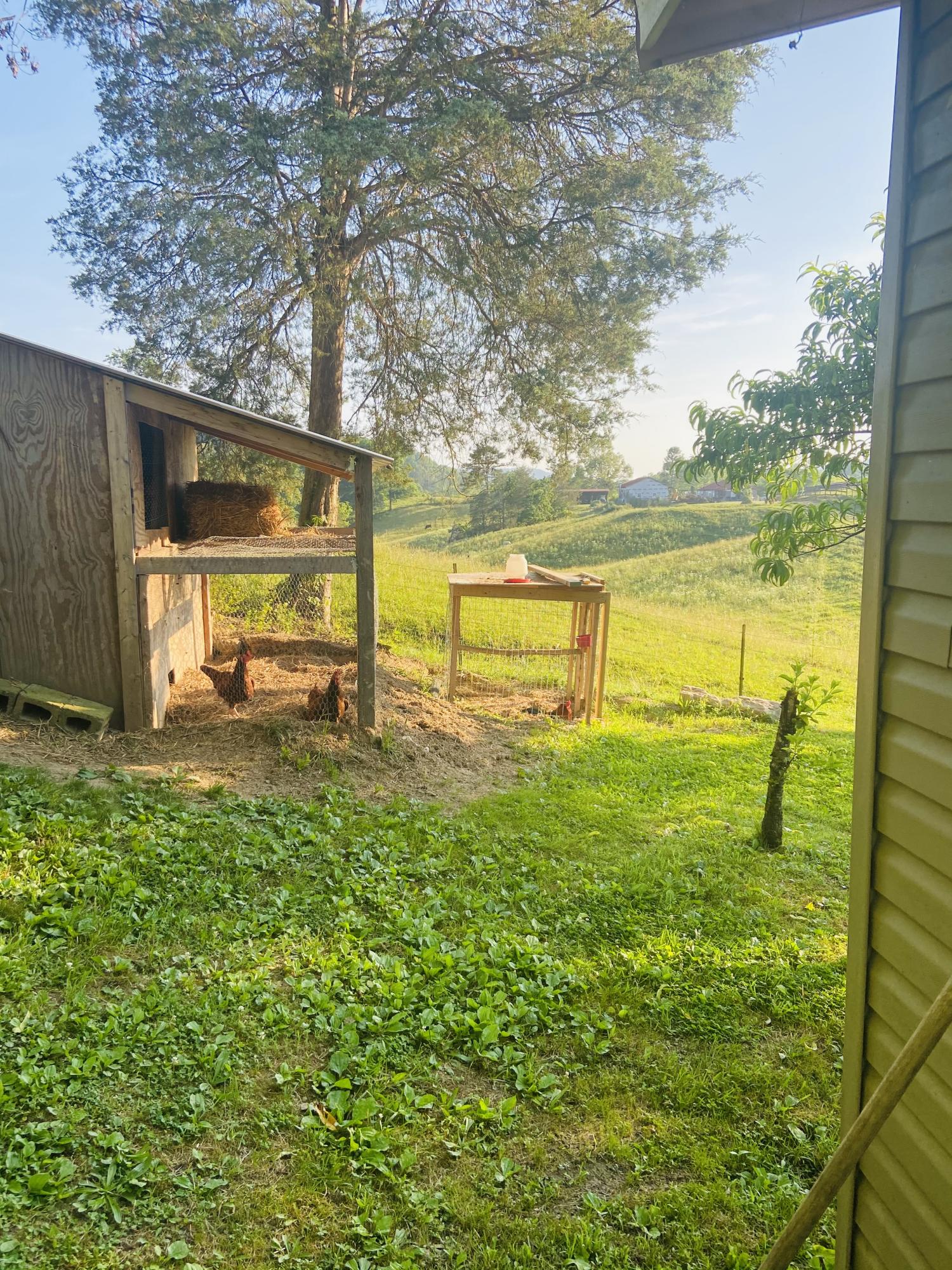 488 Bull Run Road Luttrell, TN 37779 - Photo 12 of 12 47F29A60-E44C-4FDB-BA0F-0F3C5C7CA660
