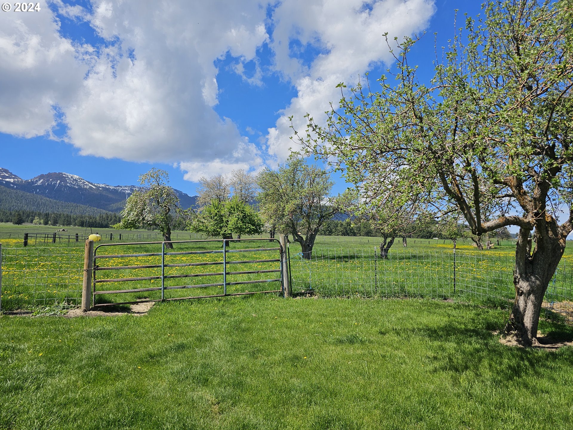 64434 Alder Slope Road Enterprise, OR 97828 - Photo 7 of 36 Gallery Image 7