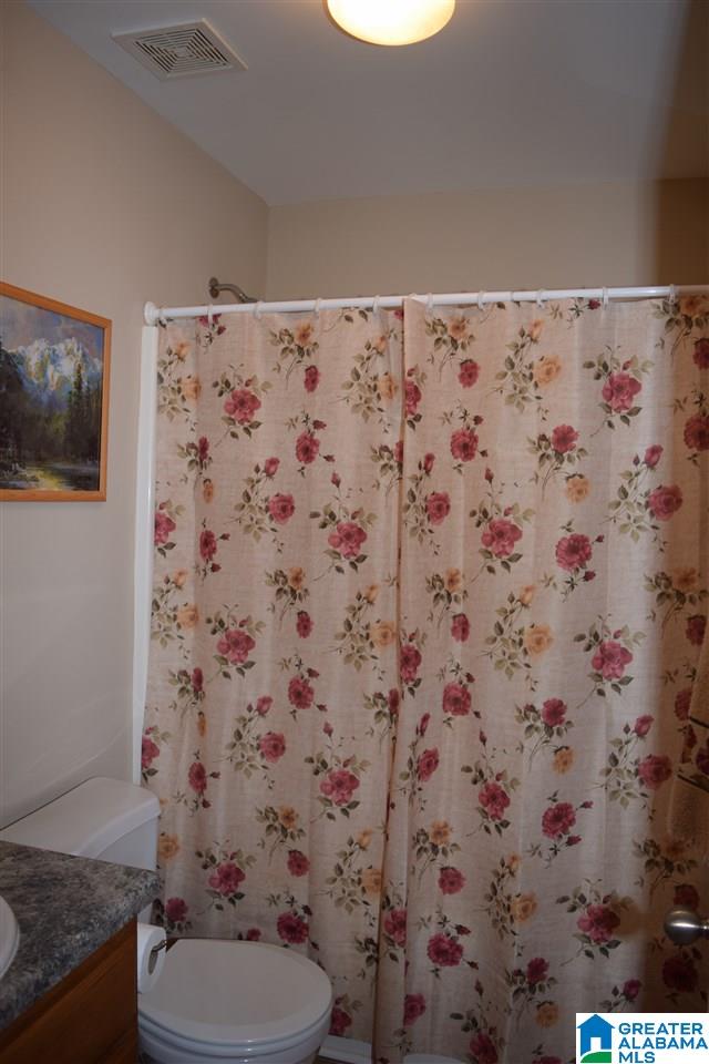 93 Wet Cat Road Hayden, AL 35079 - Photo 19 of 43