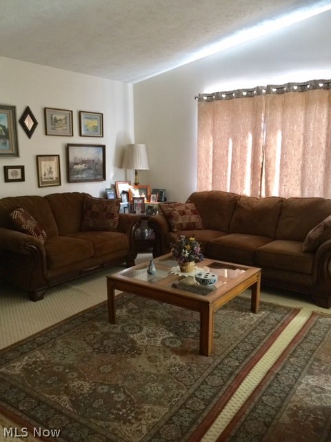 5655 Meister Road Mentor, OH 44060 - Photo 20 of 25 Living room with vaulted ceiling