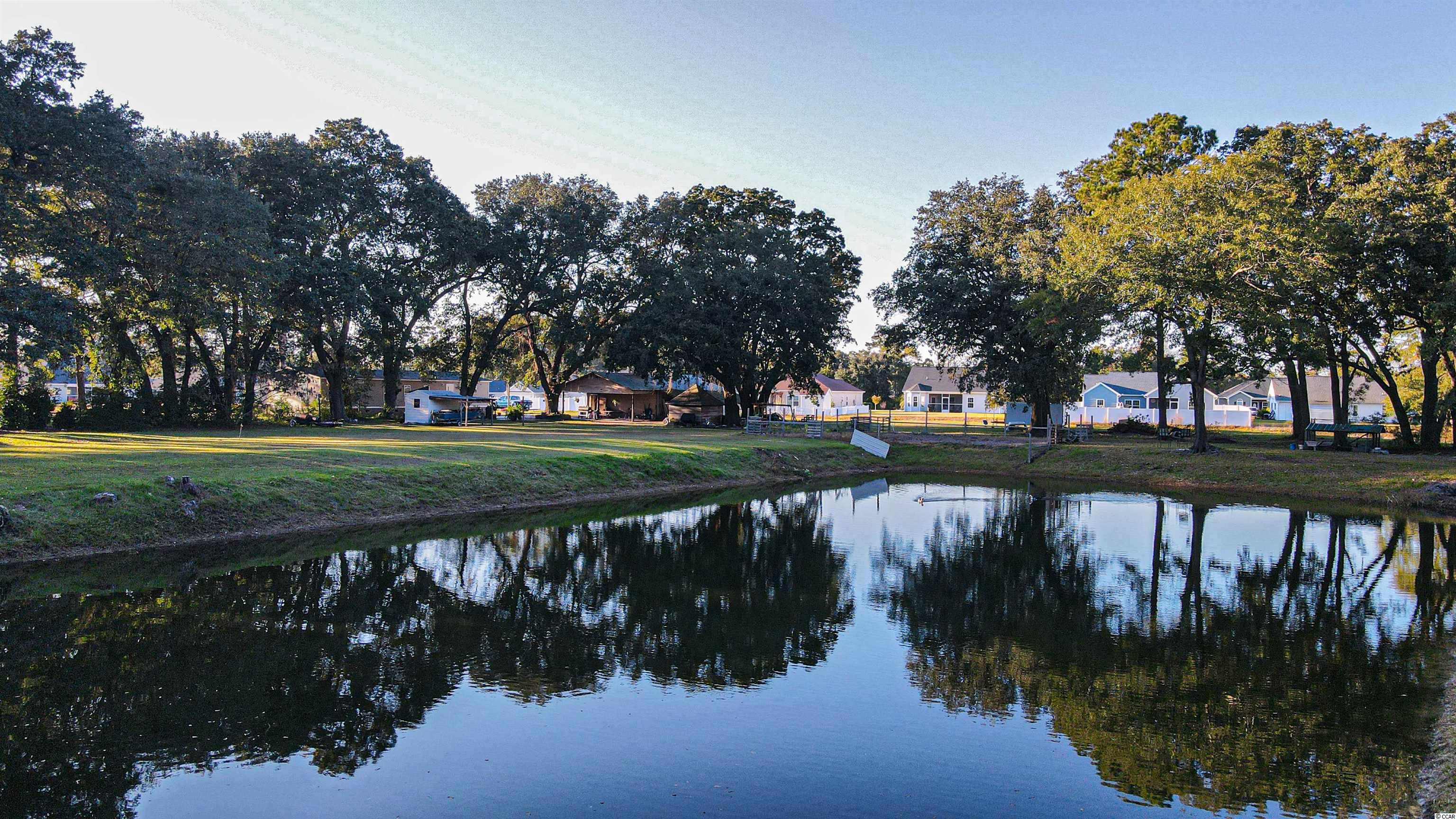 500 Goretown Loop Loris, SC 29569 - Photo 38 of 40