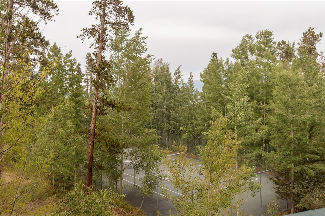 8300 Ryan Gulch Road, Unit 201F Silverthorne, CO 80498 - Photo 7 of 25 Gallery Image 7
