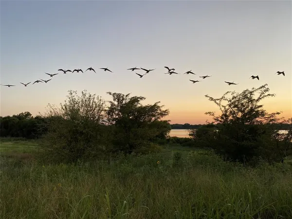 $2,300 | 2185 Olivereta Drive, Little Elm, TX 75068
