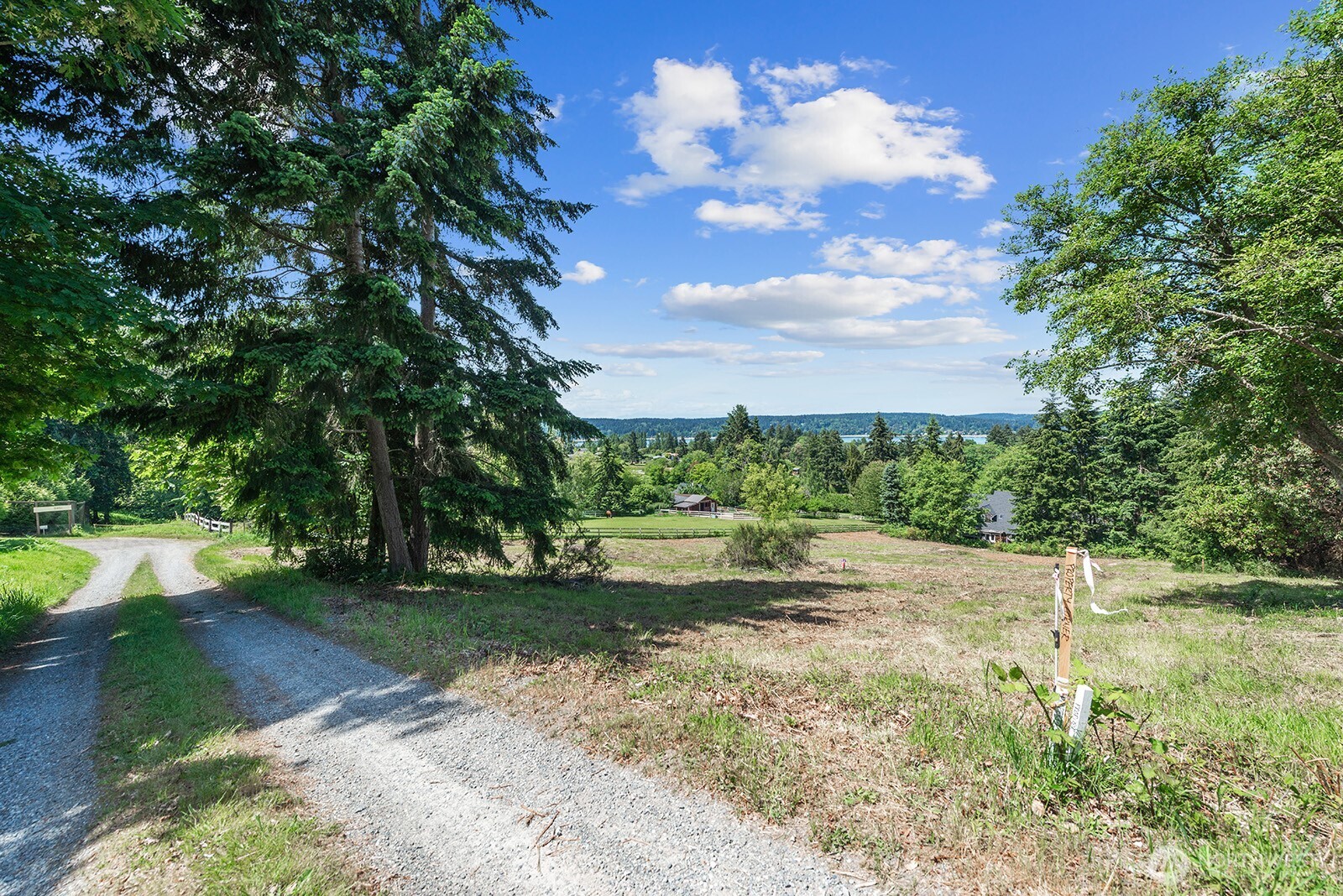 9438 Southwest 266th Lane Vashon, WA 98070 - Photo 4 of 24 a view of a yard with plants and large trees