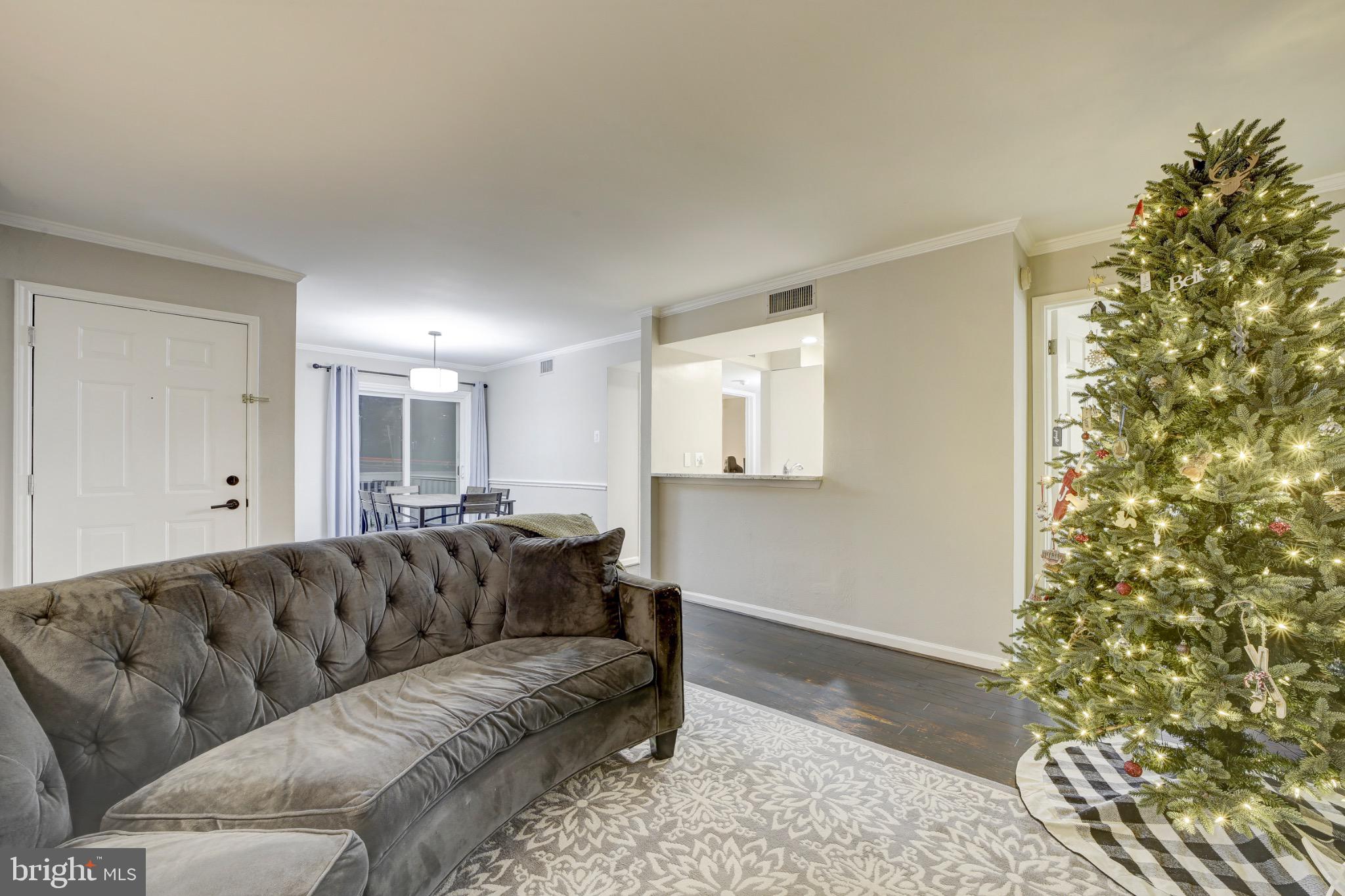 1501 Lincoln Way, Unit 101 McLean, VA 22102 - Photo 6 of 23 a living room with a couch and a plant
