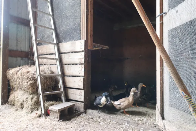 $1,249,999 | 10792 North 600 East, Demotte, IN 46310