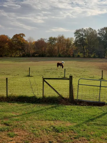 $1,249,999 | 10792 North 600 East, Demotte, IN 46310