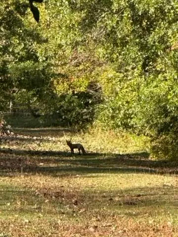 $1,249,999 | 10792 North 600 East, Demotte, IN 46310