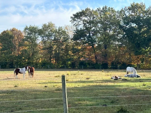 $1,249,999 | 10792 North 600 East, Demotte, IN 46310