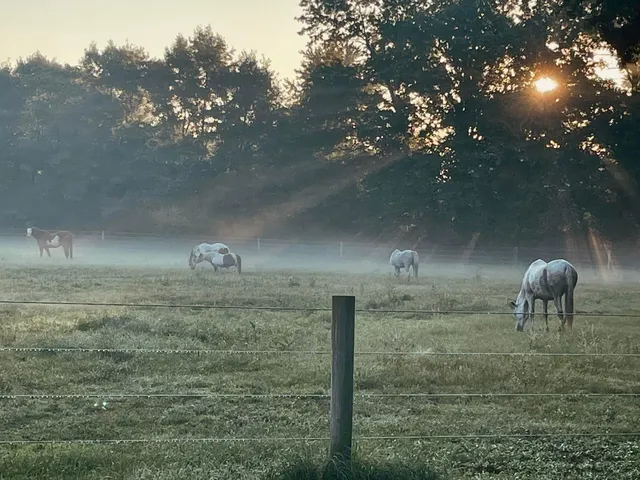 $1,249,999 | 10792 North 600 East, Demotte, IN 46310