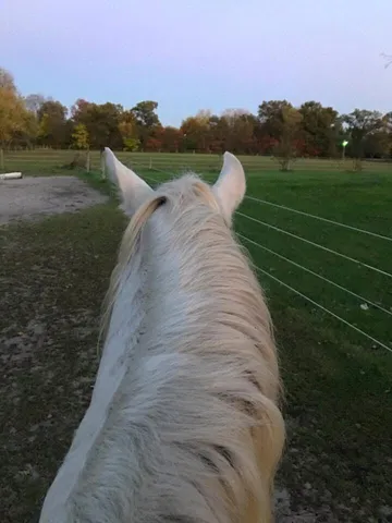 $1,249,999 | 10792 North 600 East, Demotte, IN 46310