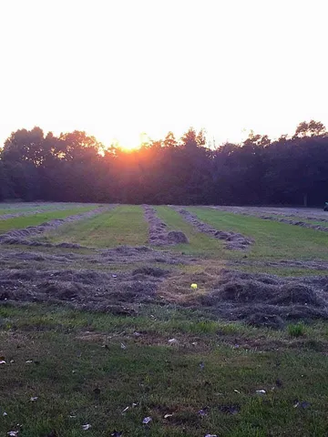 $1,249,999 | 10792 North 600 East, Demotte, IN 46310