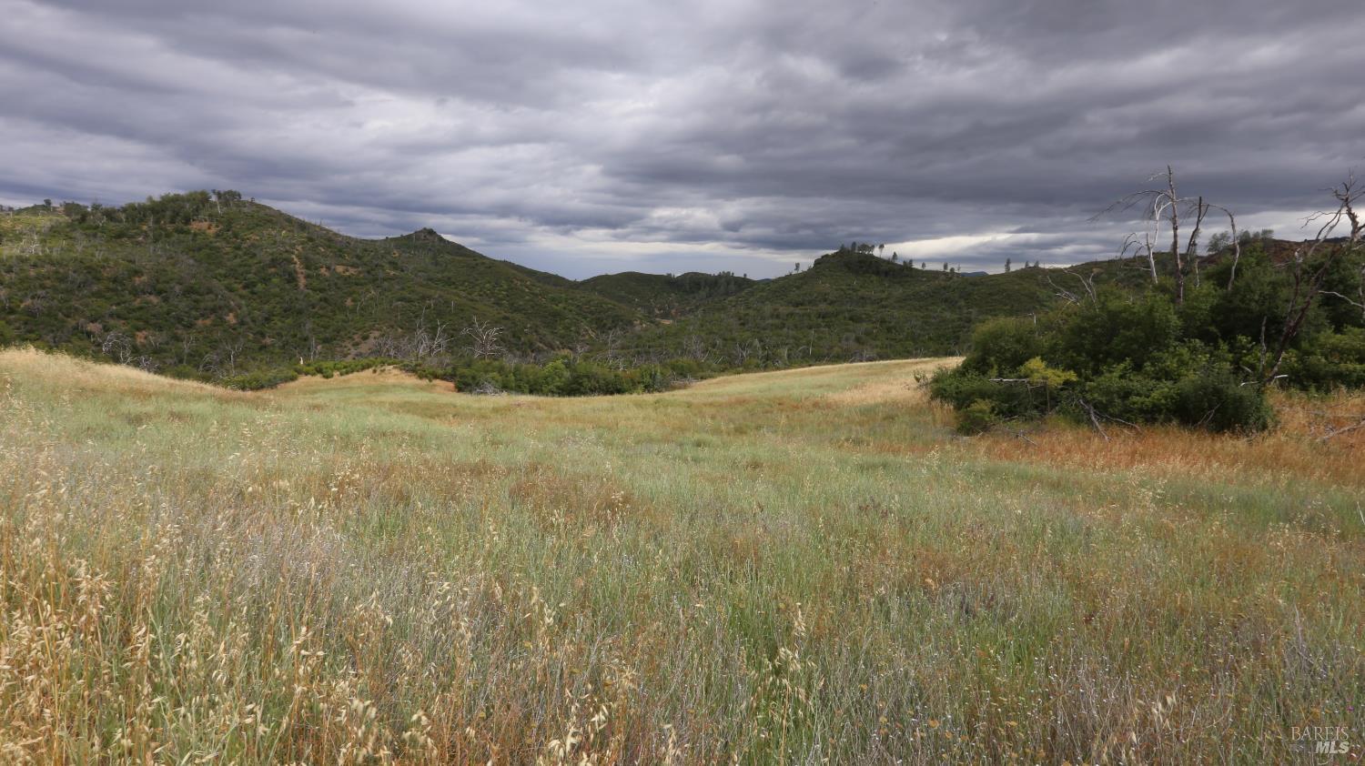14130 Big Canyon Road Middletown, CA 95461 - Photo 24 of 62