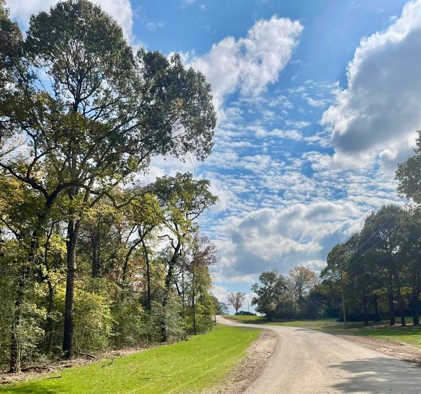008 County Road Oakwood, TX 75855 - Photo 2 of 7 a view of a yard with an trees