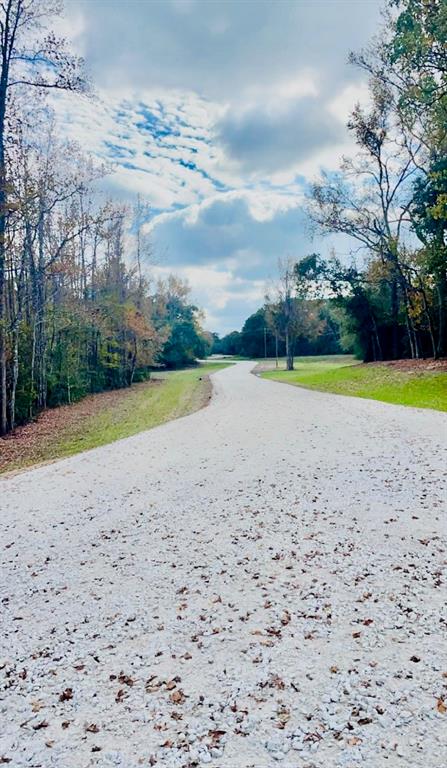 008 County Road Oakwood, TX 75855 - Photo 4 of 7 a view of a lake with beach and large trees