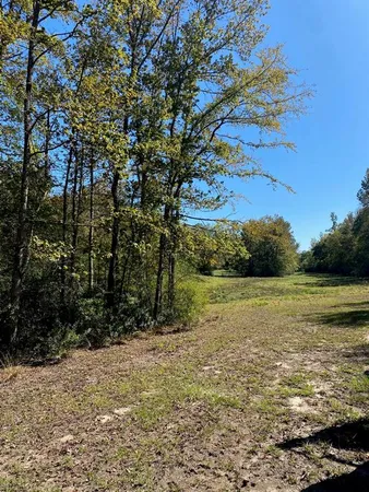 $154,999 | 008 County Road, Oakwood, TX 75855