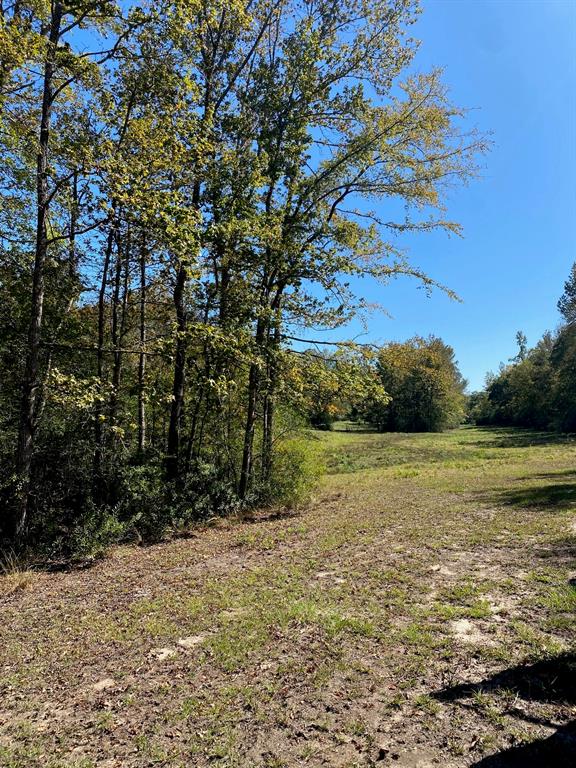 008 County Road Oakwood, TX 75855 - Photo 7 of 7 a view of an ocean