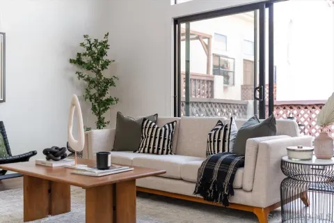 a living room with furniture and a potted plant
