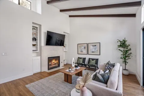 a living room with furniture fireplace and potted plant