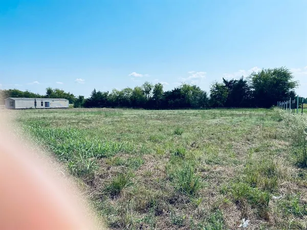 a view of a field with an trees