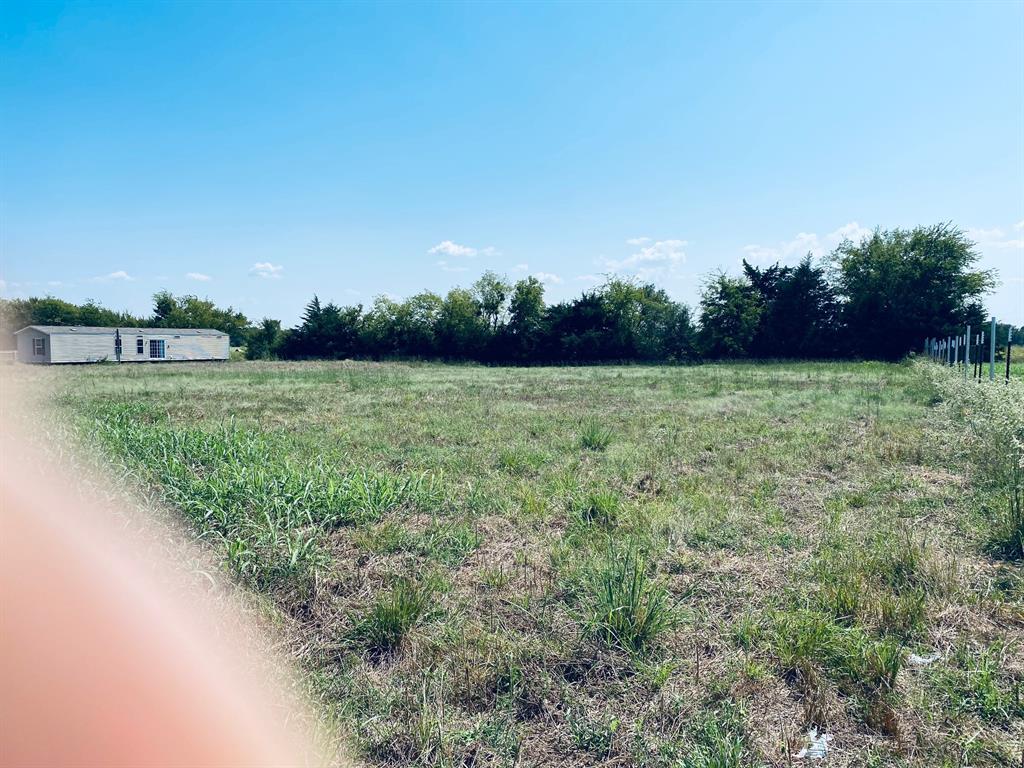 236 County Road 1450 Road Point, TX 75472 - Photo 2 of 8 a view of a field with an trees