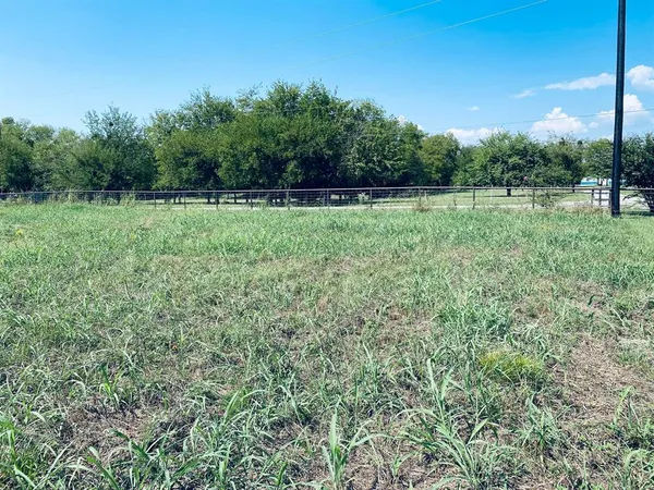 a view of a big yard