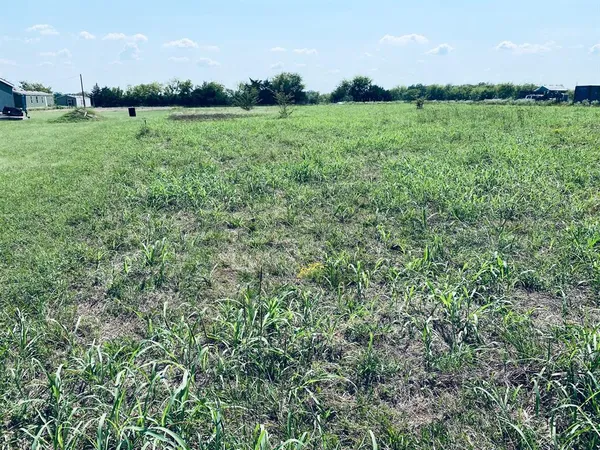 a view of a field of grass and a yard