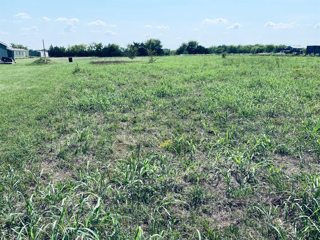 236 County Road 1450 Road Point, TX 75472 - Photo 5 of 8 a view of a big yard