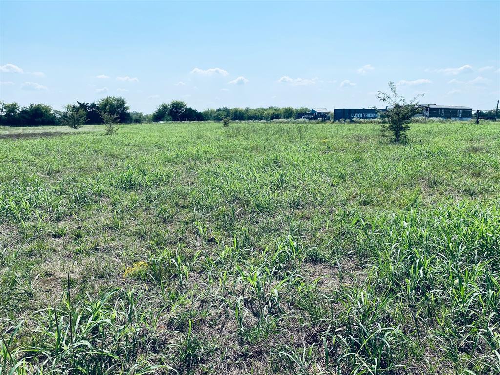 236 County Road 1450 Road Point, TX 75472 - Photo 6 of 8 a view of a field of grass and a yard
