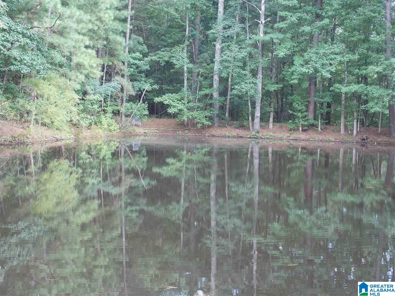 1319 Westover Road Sterrett, AL 35147 - Photo 11 of 38