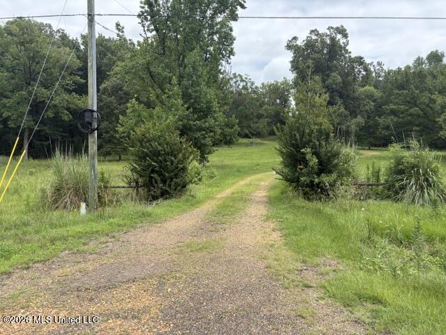 2914 Highway 7 Holcomb, MS 38940 - Photo 30 of 30 View from Hwy 7