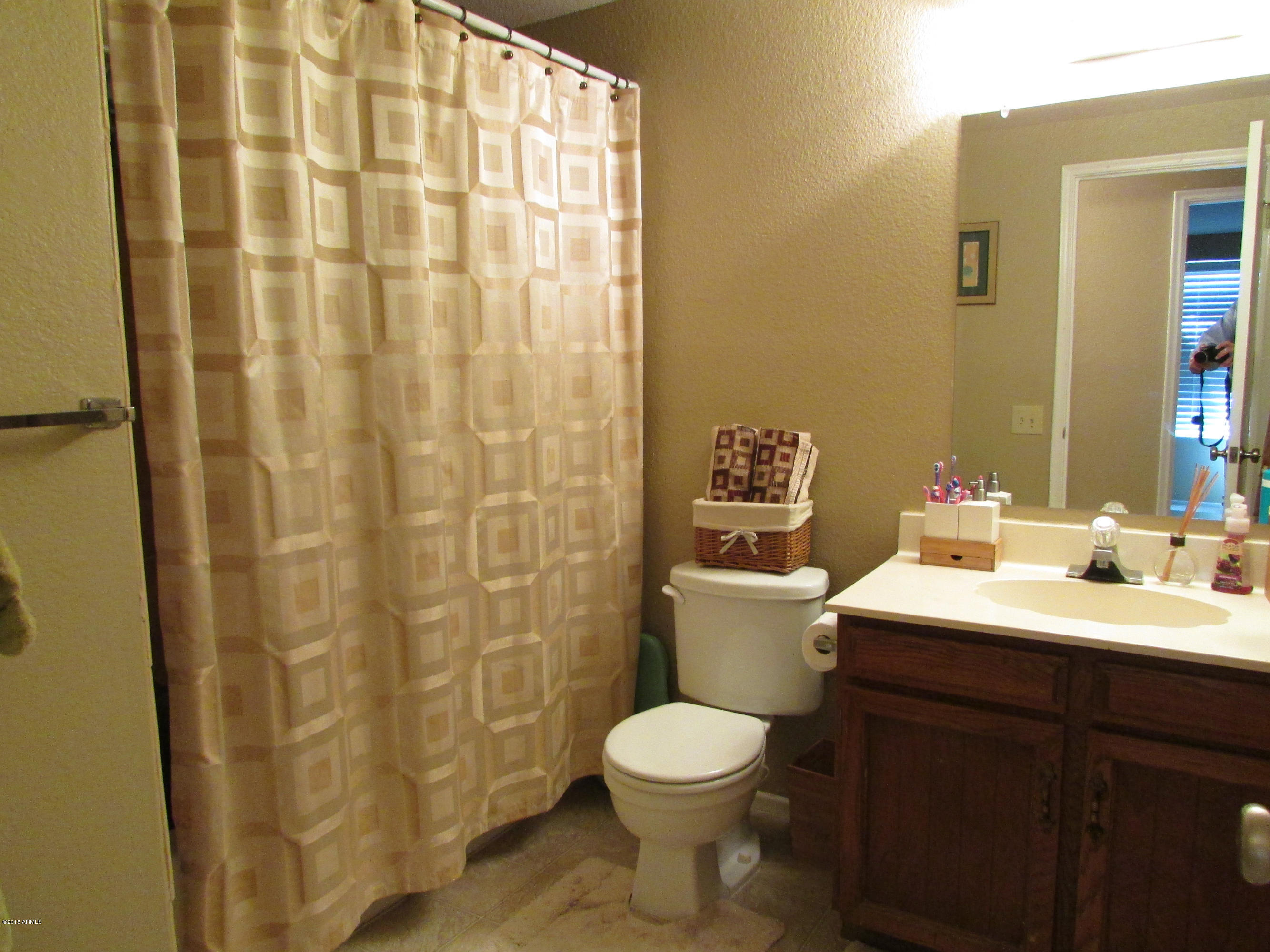 1832 West Decatur Street Mesa, AZ 85201 - Photo 8 of 22 Hall bath