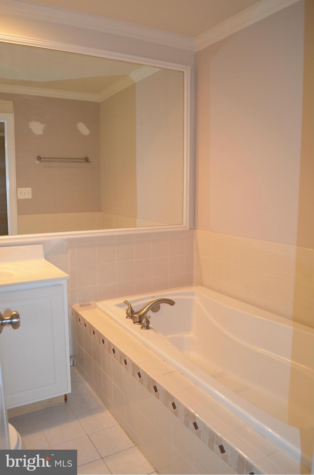 10402 Mountain Run Lake Road Culpeper, VA 22701 - Photo 19 of 29 Bath (Master)