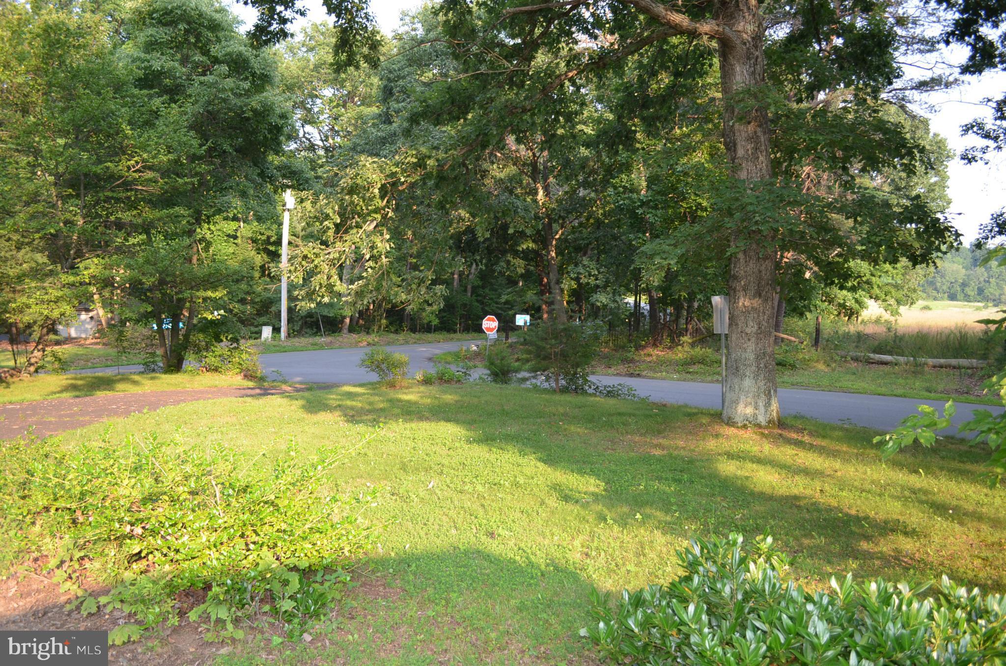 10402 Mountain Run Lake Road Culpeper, VA 22701 - Photo 3 of 29 Exterior (General)