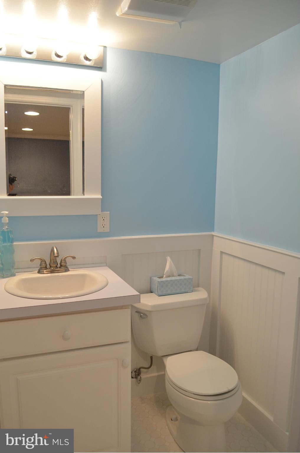 10402 Mountain Run Lake Road Culpeper, VA 22701 - Photo 26 of 29 Basement Bath