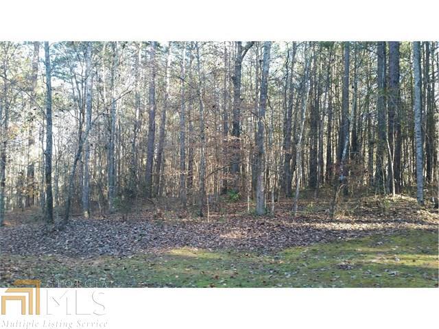 0 Minix Road Sharpsburg, GA 30277 - Photo 1 of 1 Gallery Image 1