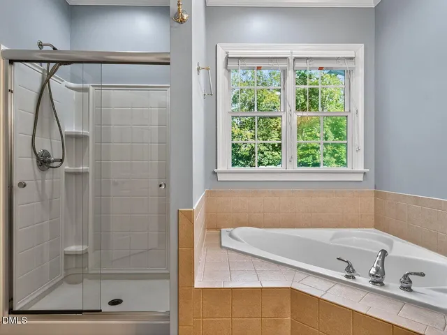 a bathroom with a bath tub and a shower