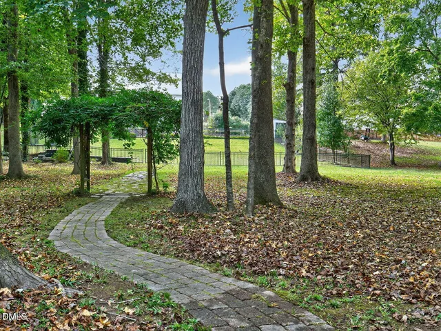a view of a park with large trees