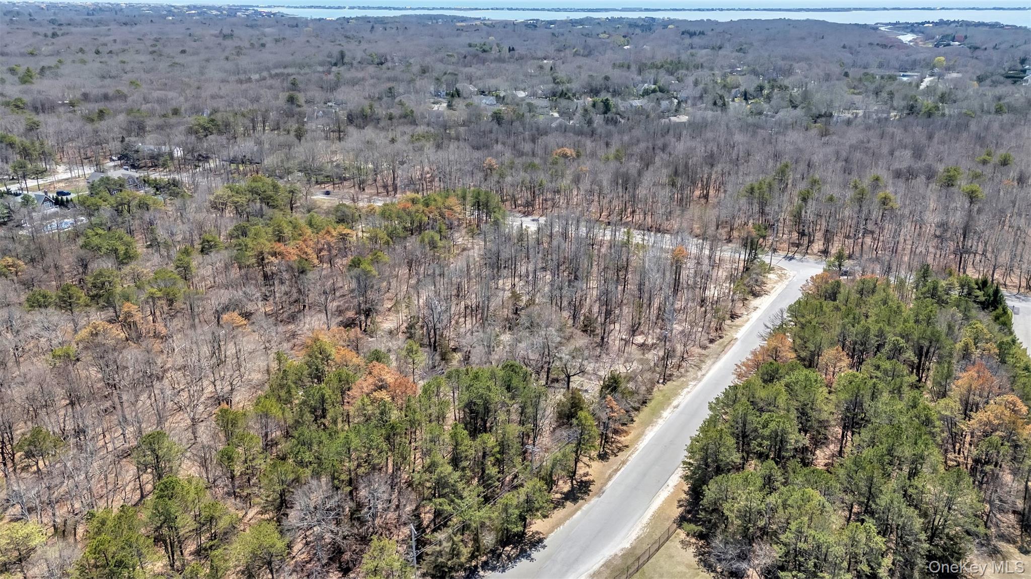 98 Old Country Road Westhampton, NY 11977 - Photo 4 of 11 Drone / aerial view with a view of trees