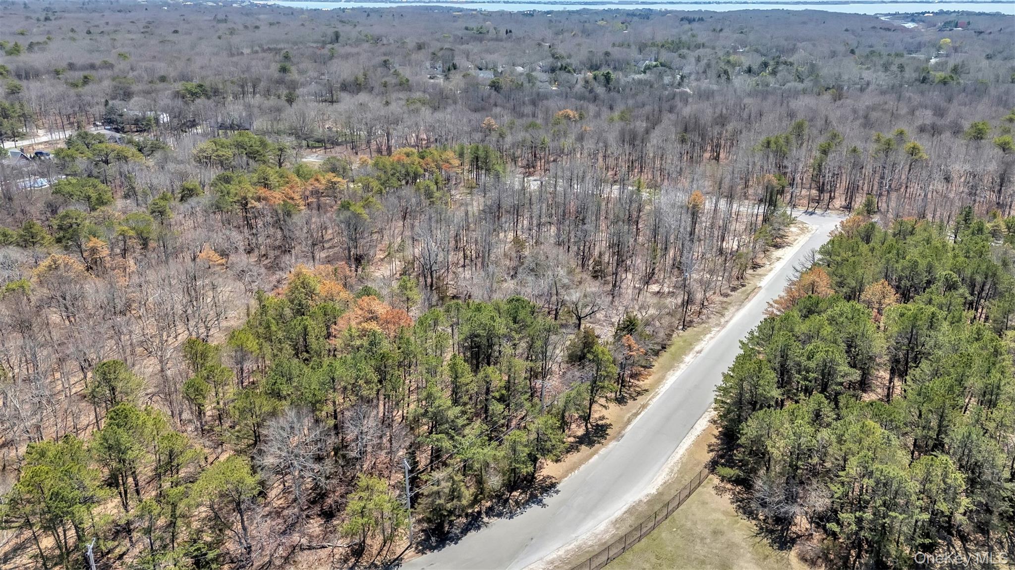 98 Old Country Road Westhampton, NY 11977 - Photo 9 of 11 Bird's eye view featuring a forest view