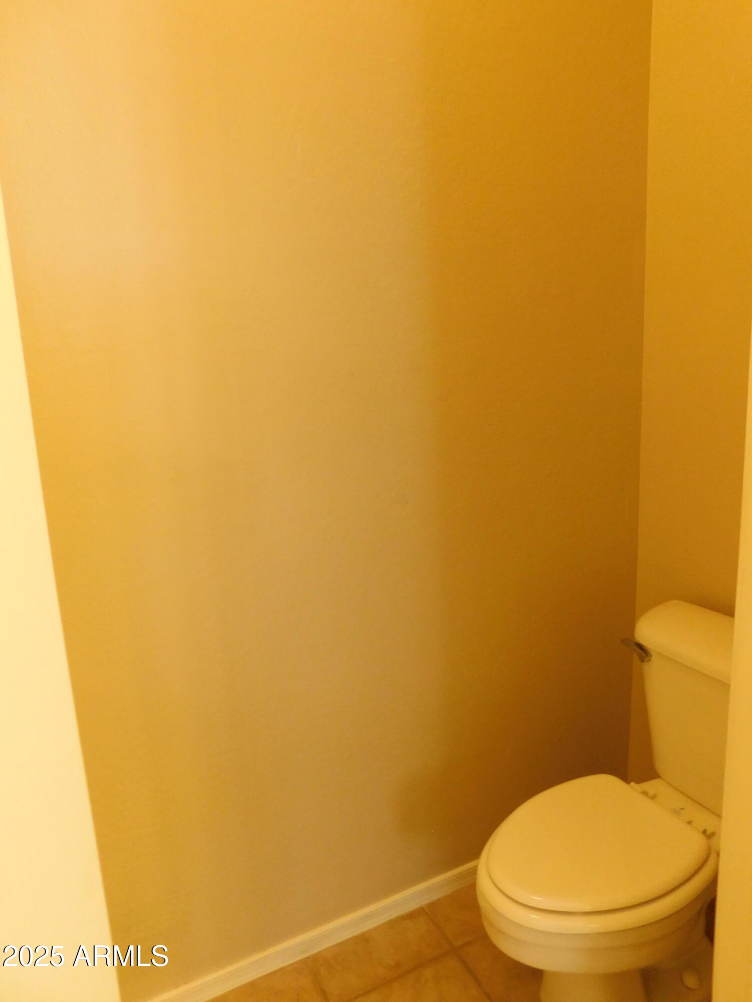 2656 East Sherri Drive Gilbert, AZ 85296 - Photo 15 of 24 Water Closet