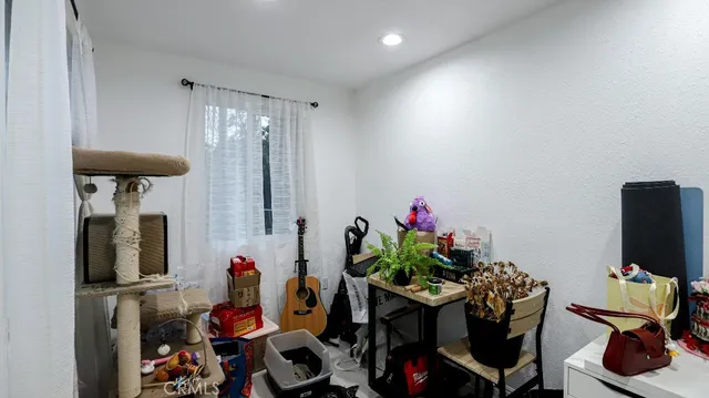 a room with furniture and a potted plant