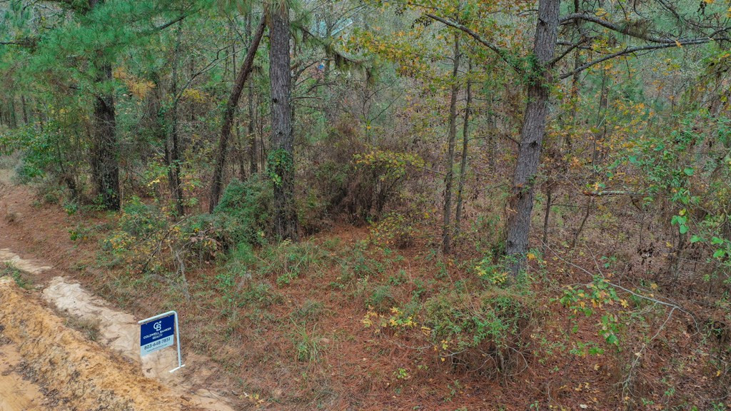 342 Weyerhaeuser Road Aiken, SC 29801 - Photo 2 of 18