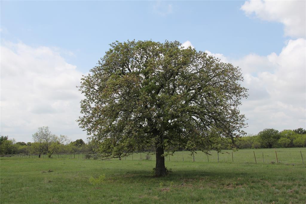 3941 Fm 1027 Carbon Tx  