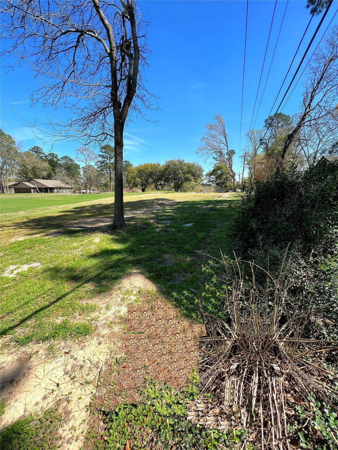 0 League Line Road Conroe, TX 77304 - Photo 6 of 11 a view of a yard with an outdoor space