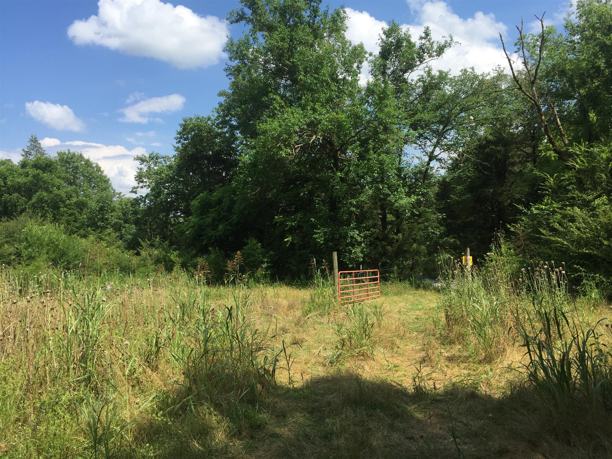 0 Kelso Road Mulberry, TN 37359 - Photo 9 of 12 Mostly fenced.