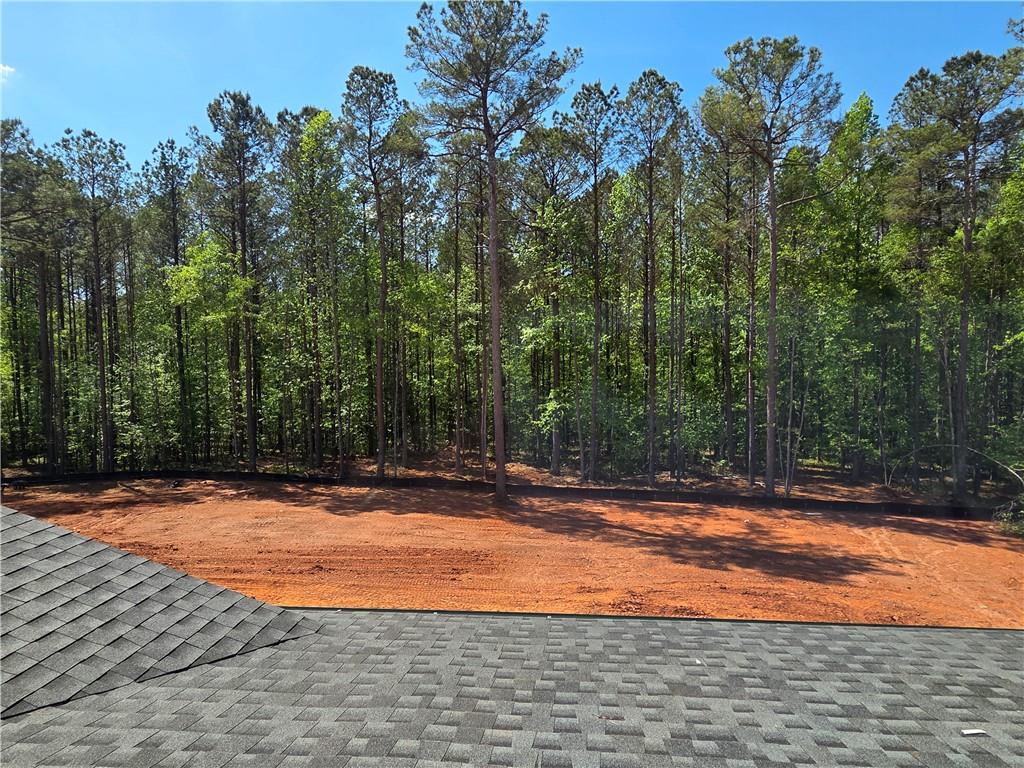 293 Meadows Drive Bethlehem, GA 30620 - Photo 30 of 34 a view of outdoor space with trees