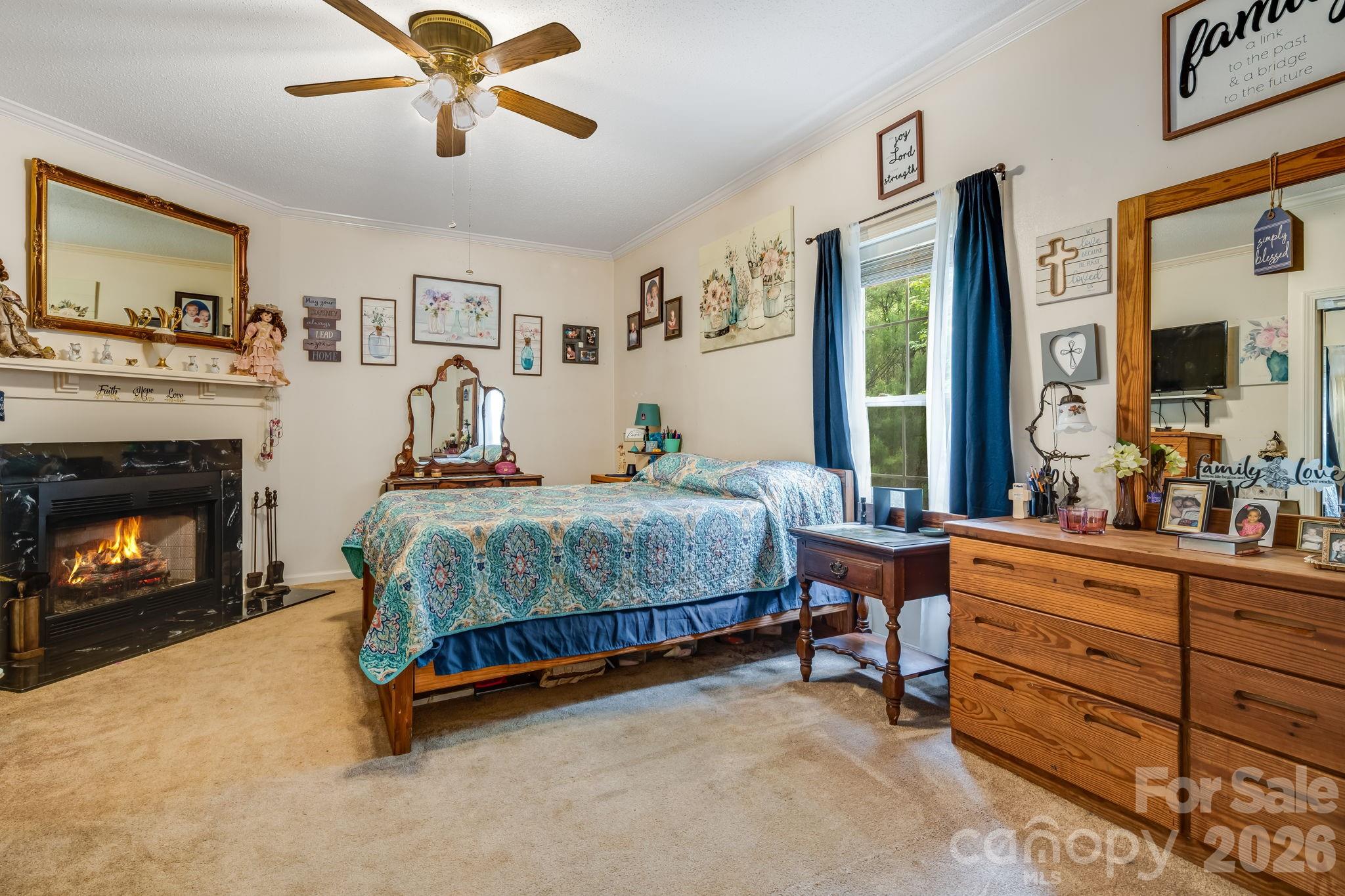 3287 Cabin Creek Road Zirconia, NC 28790 - Photo 21 of 32