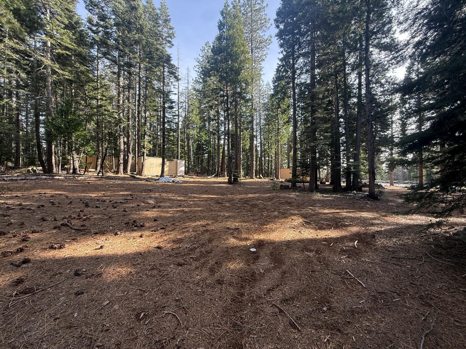16127 Ophir Silver Road Nevada City, CA 95959 - Photo 1 of 20